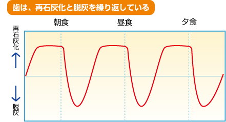 歯は再石灰かと脱灰を繰り返している