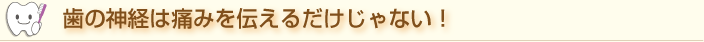 歯の神経は痛みを伝えるだけじゃない