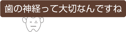 歯の神経って大切なんですね