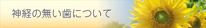 神経のない歯について